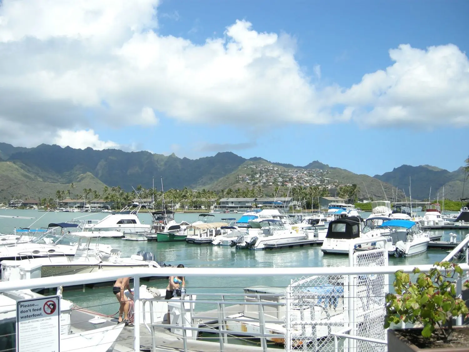 Hawaii Kai marina with Koko Head behind it