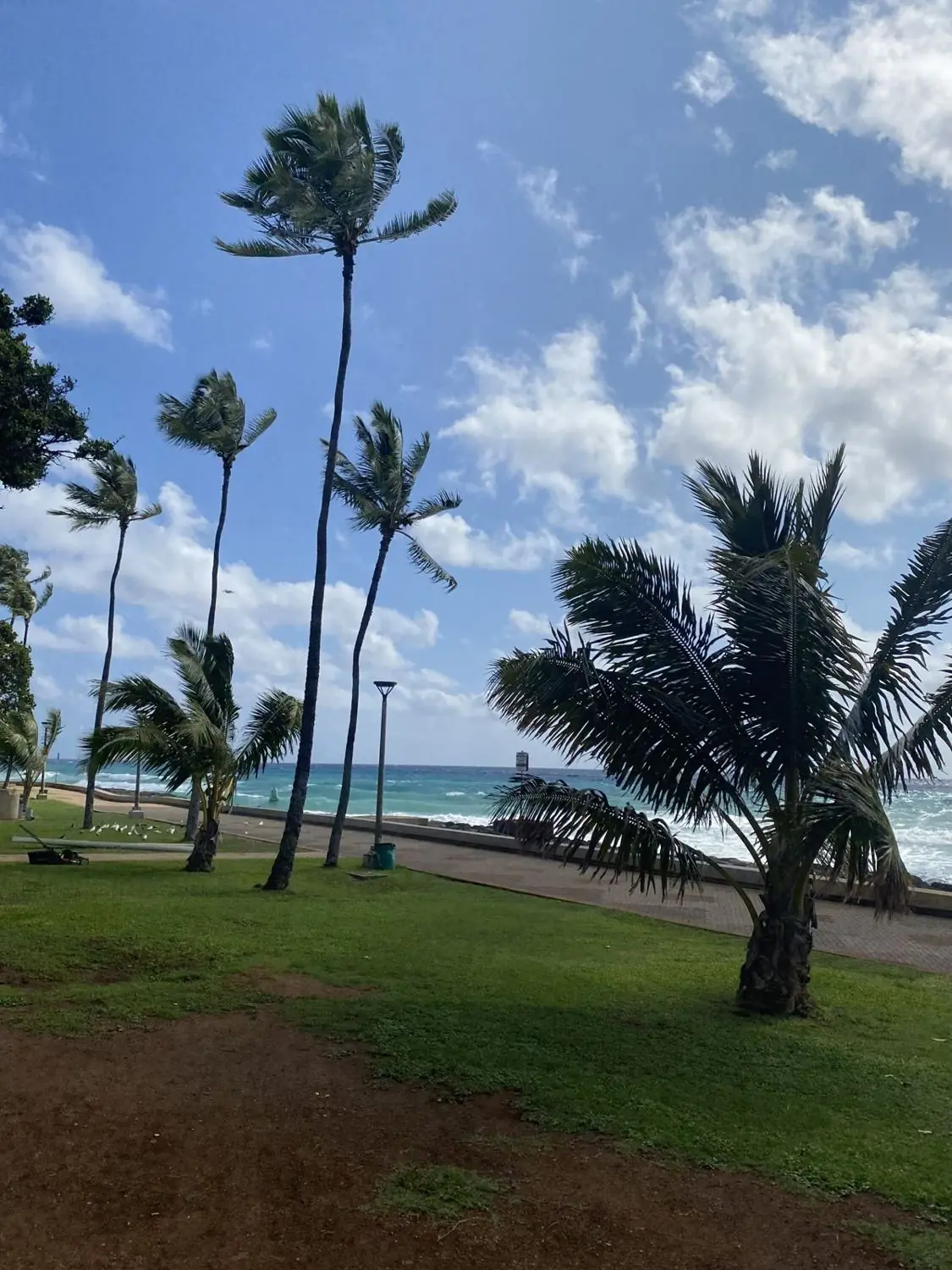 Kaka'ako Waterfront Park in Honolulu