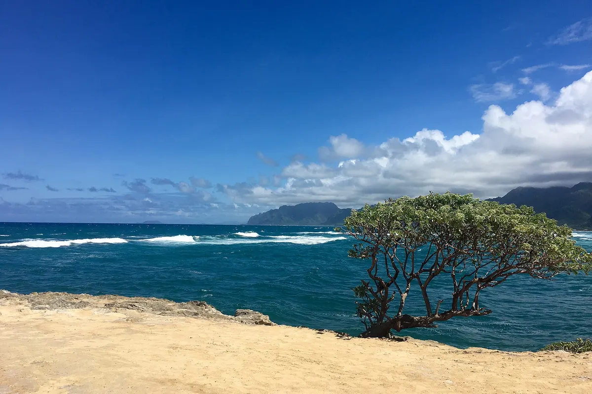 Laie Point